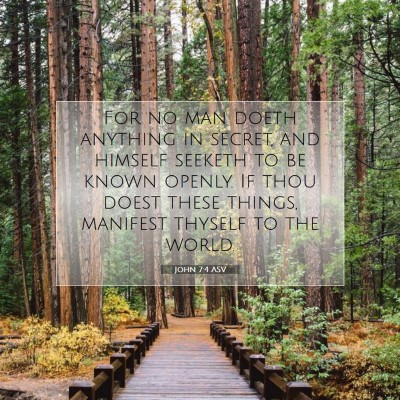 Picture 07 - John 7:4 ASV - For no man doeth anything in secret, and himself - Bible Verse Picture