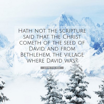 Picture 07 - John 7:42 ASV - Hath not the scripture said that the Christ - Bible Verse Picture