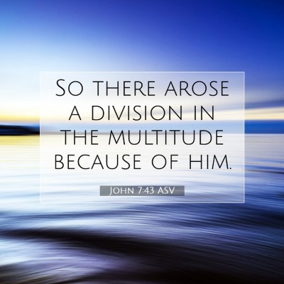 Picture 07 - John 7:43 ASV - So there arose a division in the multitude - Bible Verse Picture
