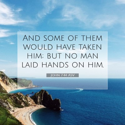 Picture 07 - John 7:44 ASV - And some of them would have taken him; but no man - Bible Verse Picture