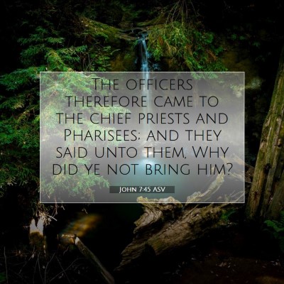 Picture 07 - John 7:45 ASV - The officers therefore came to the chief priests - Bible Verse Picture