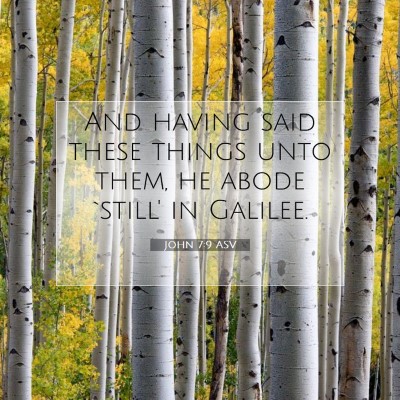 Picture 07 - John 7:9 ASV - And having said these things unto them, he abode - Bible Verse Picture
