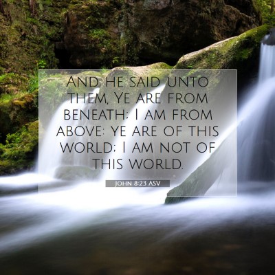 Picture 07 - John 8:23 ASV - And he said unto them, Ye are from beneath; I am - Bible Verse Picture
