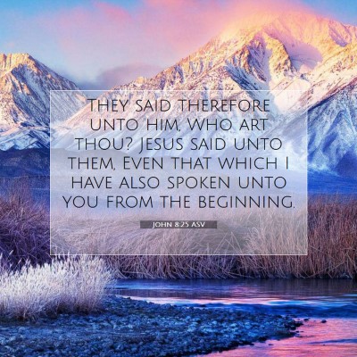Picture 07 - John 8:25 ASV - They said therefore unto him, Who art thou? Jesus - Bible Verse Picture