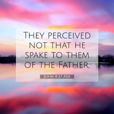 Picture 07 - John 8:27 ASV - They perceived not that he spake to them of the - Bible Verse Picture