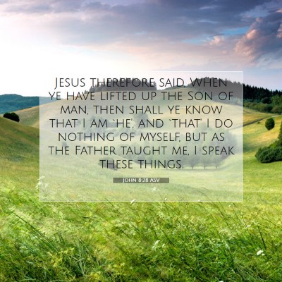 Picture 07 - John 8:28 ASV - Jesus therefore said, When ye have lifted up the - Bible Verse Picture