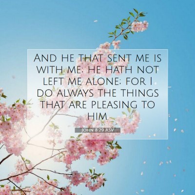 Picture 07 - John 8:29 ASV - And he that sent me is with me; he hath not left - Bible Verse Picture