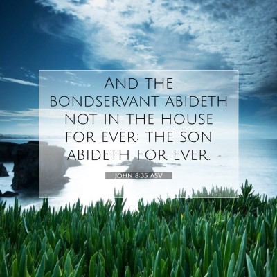 Picture 07 - John 8:35 ASV - And the bondservant abideth not in the house for - Bible Verse Picture