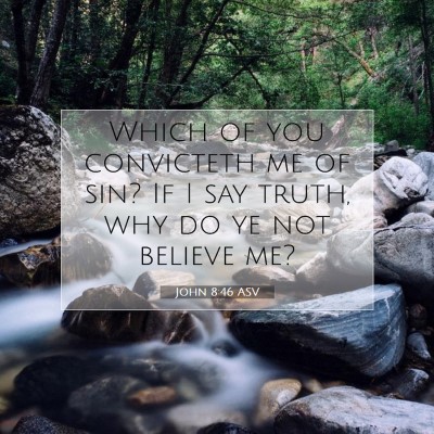 Picture 07 - John 8:46 ASV - Which of you convicteth me of sin? If I say - Bible Verse Picture