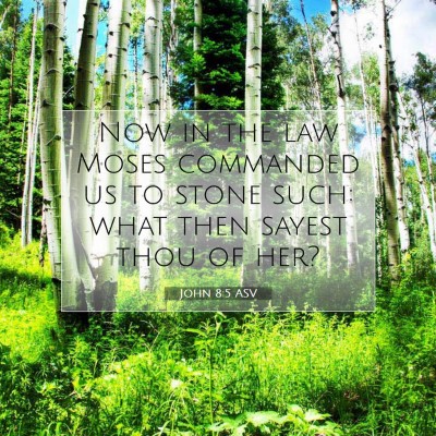 Picture 07 - John 8:5 ASV - Now in the law Moses commanded us to stone such: - Bible Verse Picture