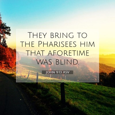 Picture 07 - John 9:13 ASV - They bring to the Pharisees him that aforetime - Bible Verse Picture