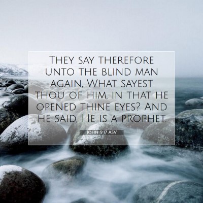 Picture 07 - John 9:17 ASV - They say therefore unto the blind man again, What - Bible Verse Picture