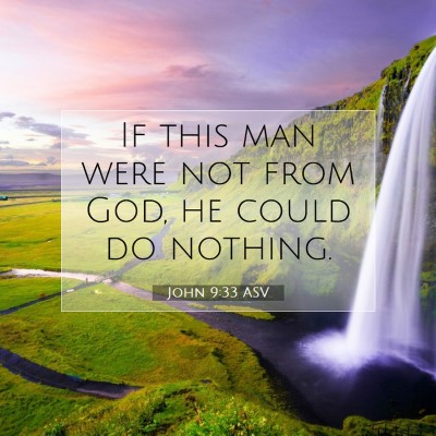 Picture 07 - John 9:33 ASV - If this man were not from God, he could do - Bible Verse Picture