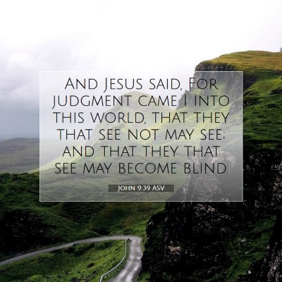Picture 07 - John 9:39 ASV - And Jesus said, For judgment came I into this - Bible Verse Picture