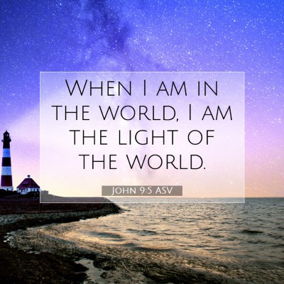 Picture 07 - John 9:5 ASV - When I am in the world, I am the light of the - Bible Verse Picture