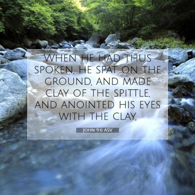 Picture 07 - John 9:6 ASV - When he had thus spoken, he spat on the ground, - Bible Verse Picture