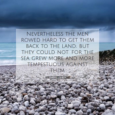 Picture 07 - Jonah 1:13 ASV - Nevertheless the men rowed hard to get them back - Bible Verse Picture