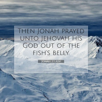Picture 07 - Jonah 2:1 ASV - Then Jonah prayed unto Jehovah his God out of the - Bible Verse Picture