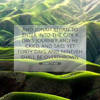 Picture 07 - Jonah 3:4 ASV - And Jonah began to enter into the city a day's - Bible Verse Picture