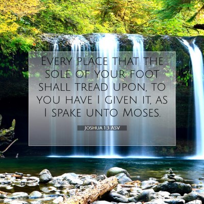 Picture 07 - Joshua 1:3 ASV - Every place that the sole of your foot shall - Bible Verse Picture