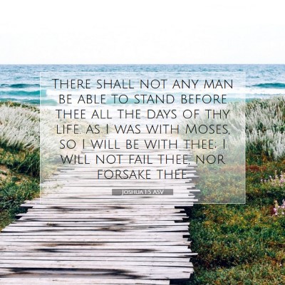 Picture 07 - Joshua 1:5 ASV - There shall not any man be able to stand before - Bible Verse Picture
