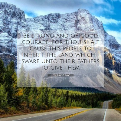 Picture 07 - Joshua 1:6 ASV - Be strong and of good courage; for thou shalt - Bible Verse Picture