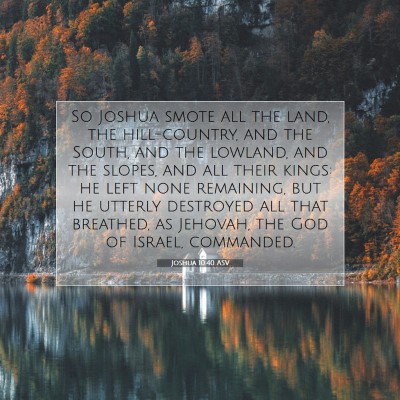Picture 07 - Joshua 10:40 ASV - So Joshua smote all the land, the hill-country, - Bible Verse Picture