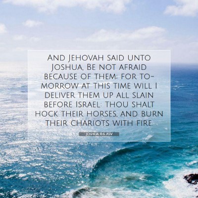 Picture 07 - Joshua 11:6 ASV - And Jehovah said unto Joshua, Be not afraid - Bible Verse Picture