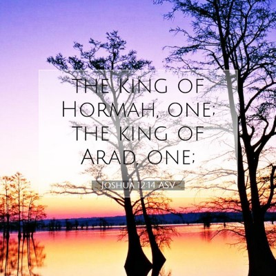 Picture 07 - Joshua 12:14 ASV - the king of Hormah, one; the king of Arad, - Bible Verse Picture