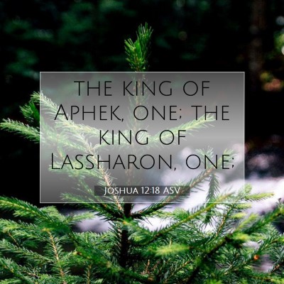 Picture 07 - Joshua 12:18 ASV - the king of Aphek, one; the king of Lassharon, - Bible Verse Picture