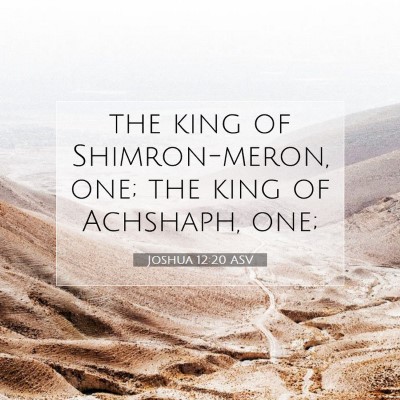 Picture 07 - Joshua 12:20 ASV - the king of Shimron-meron, one; the king of - Bible Verse Picture