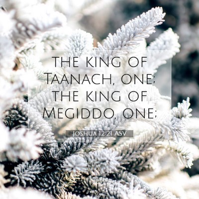 Picture 07 - Joshua 12:21 ASV - the king of Taanach, one; the king of Megiddo, - Bible Verse Picture