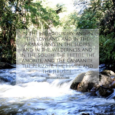 Picture 07 - Joshua 12:8 ASV - in the hill-country, and in the lowland, and in - Bible Verse Picture