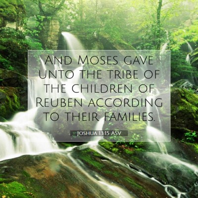 Picture 07 - Joshua 13:15 ASV - And Moses gave unto the tribe of the children of - Bible Verse Picture