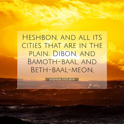 Picture 07 - Joshua 13:17 ASV - Heshbon, and all its cities that are in the - Bible Verse Picture