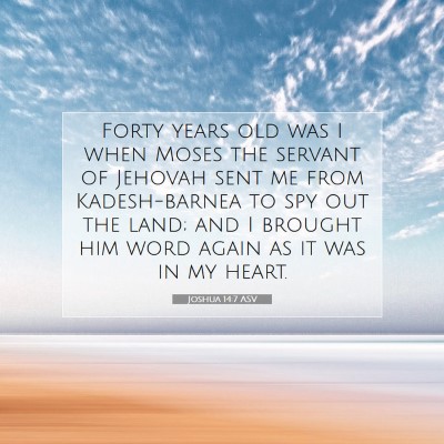 Picture 07 - Joshua 14:7 ASV - Forty years old was I when Moses the servant of - Bible Verse Picture