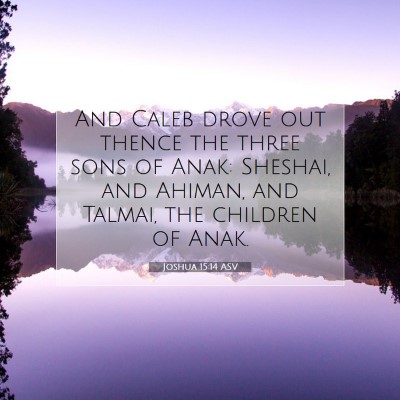 Picture 07 - Joshua 15:14 ASV - And Caleb drove out thence the three sons of - Bible Verse Picture
