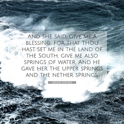 Picture 07 - Joshua 15:19 ASV - And she said, Give me a blessing; for that thou - Bible Verse Picture