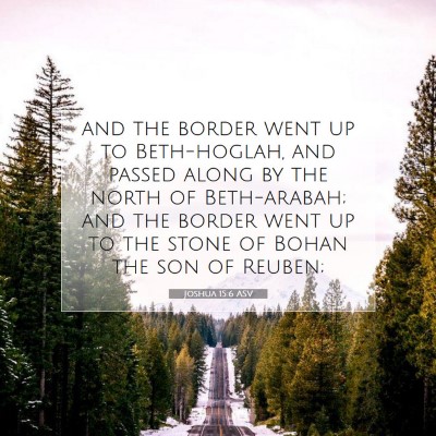 Picture 07 - Joshua 15:6 ASV - and the border went up to Beth-hoglah, and passed - Bible Verse Picture