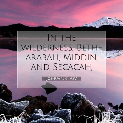 Picture 07 - Joshua 15:61 ASV - In the wilderness, Beth-arabah, Middin, and - Bible Verse Picture