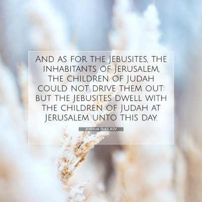 Picture 07 - Joshua 15:63 ASV - And as for the Jebusites, the inhabitants of - Bible Verse Picture