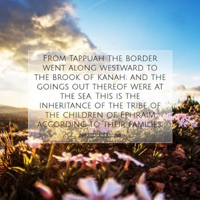 Picture 07 - Joshua 16:8 ASV - From Tappuah the border went along westward to - Bible Verse Picture