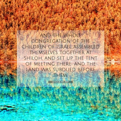 Picture 07 - Joshua 18:1 ASV - And the whole congregation of the children of - Bible Verse Picture
