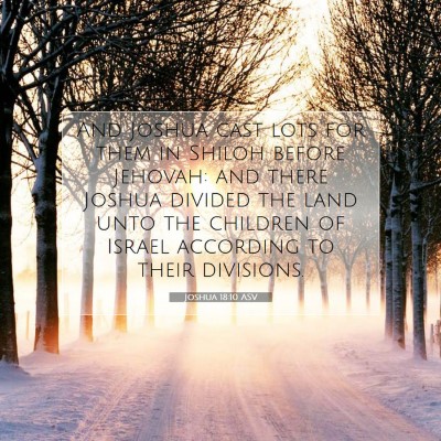 Picture 07 - Joshua 18:10 ASV - And Joshua cast lots for them in Shiloh before - Bible Verse Picture