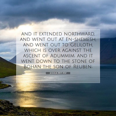 Picture 07 - Joshua 18:17 ASV - and it extended northward, and went out at - Bible Verse Picture