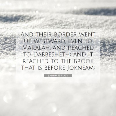 Picture 07 - Joshua 19:11 ASV - and their border went up westward, even to - Bible Verse Picture
