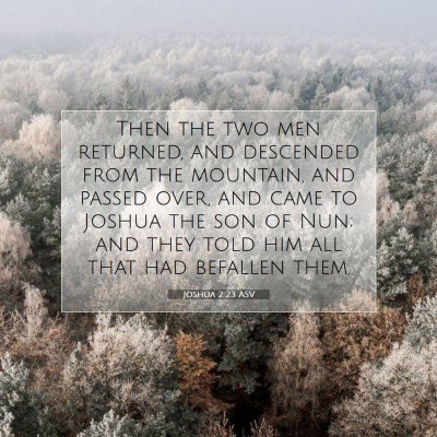 Picture 07 - Joshua 2:23 ASV - Then the two men returned, and descended from the - Bible Verse Picture
