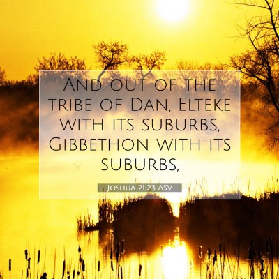 Picture 07 - Joshua 21:23 ASV - And out of the tribe of Dan, Elteke with its - Bible Verse Picture