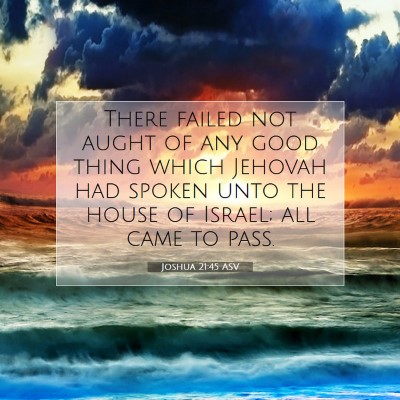 Picture 07 - Joshua 21:45 ASV - There failed not aught of any good thing which - Bible Verse Picture