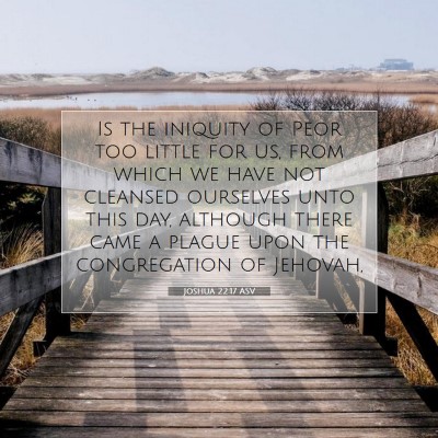 Picture 07 - Joshua 22:17 ASV - Is the iniquity of Peor too little for us, from - Bible Verse Picture